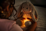 Soft Cuddly Friends Light at Night Hoppie Rabbit (28 cm) - Steiff Hong Kong