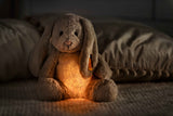Soft Cuddly Friends Light at Night Hoppie Rabbit (28 cm) - Steiff Hong Kong