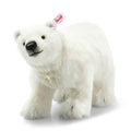 Winter Polar Bear (30 cm) - Steiff Hong Kong