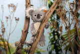 Soft Cuddly Friends Nils Koala (30 cm) - Steiff Hong Kong