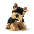 Herkules Yorkshire Terrier (24 cm)