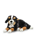 Senni Bernese Mountain Dog (45 cm) - Steiff Hong Kong