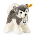 Bernie Husky (25 cm) - Steiff Hong Kong