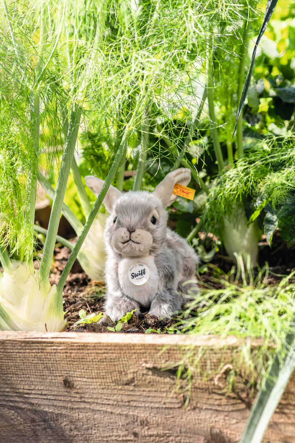 Dormili Rabbit (21 cm)