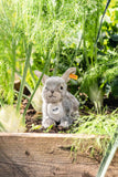 Dormili Rabbit (21 cm)
