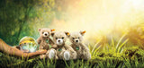 Teddies for Tomorrow Anton Teddy Bear (30 cm) - Steiff Hong Kong